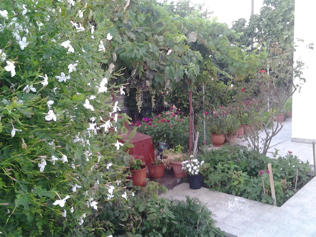 Anestoula Rooms Skála Dış mekan fotoğraf